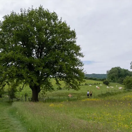 Vakantieboerderij Tergracht - T Huuske Appartement Epen