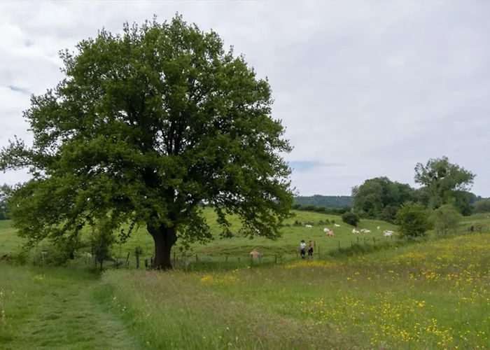 Vakantieboerderij Tergracht - T Huuske דירה אפן