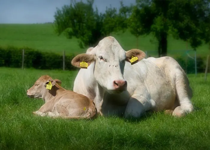 דירה Vakantieboerderij Tergracht - T Huuske אפן