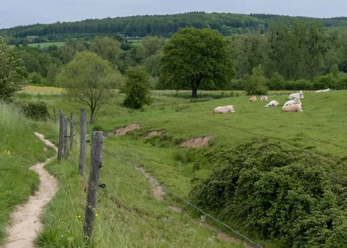 Vakantieboerderij Tergracht - T Huuske *